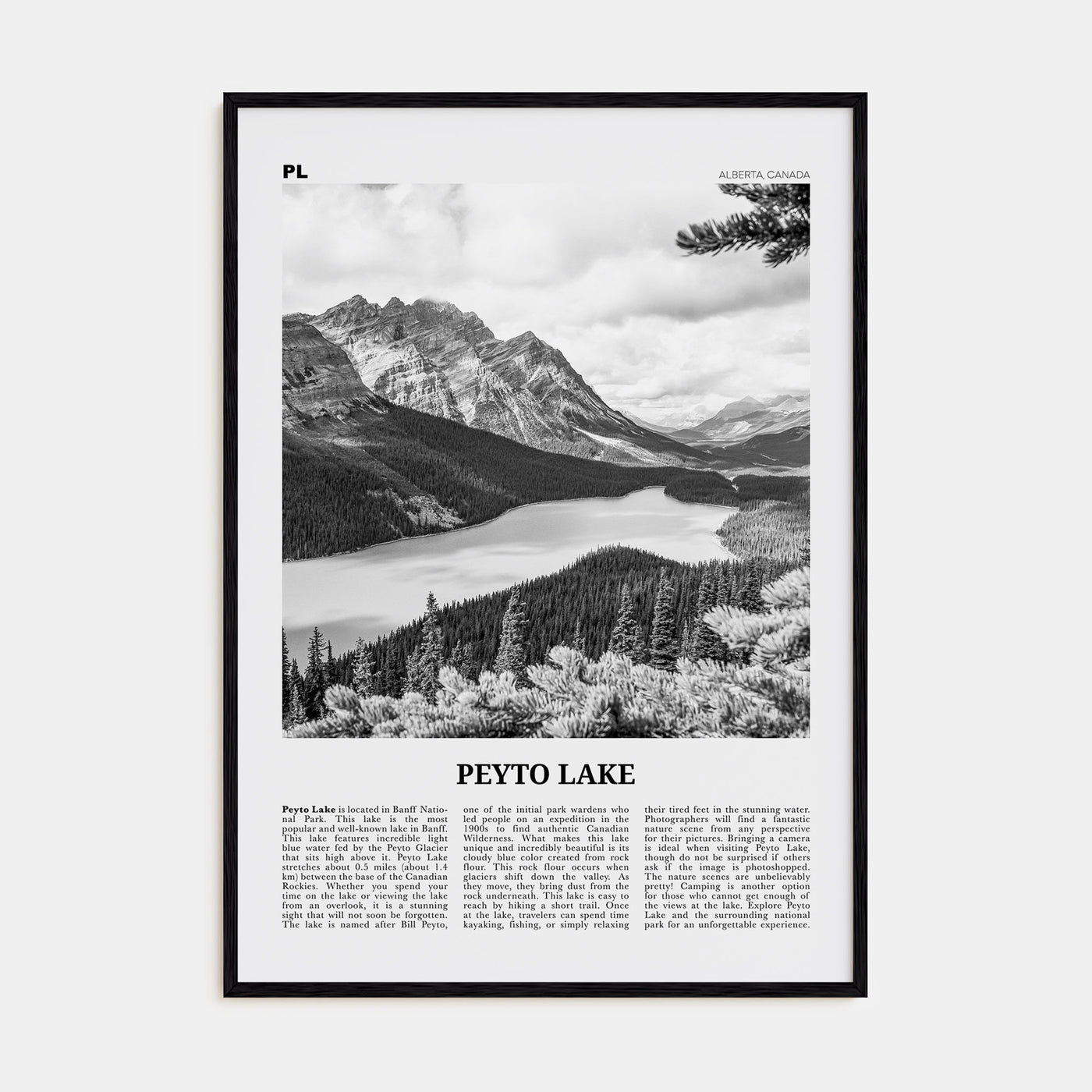 Peyto Lake Travel B&W Poster