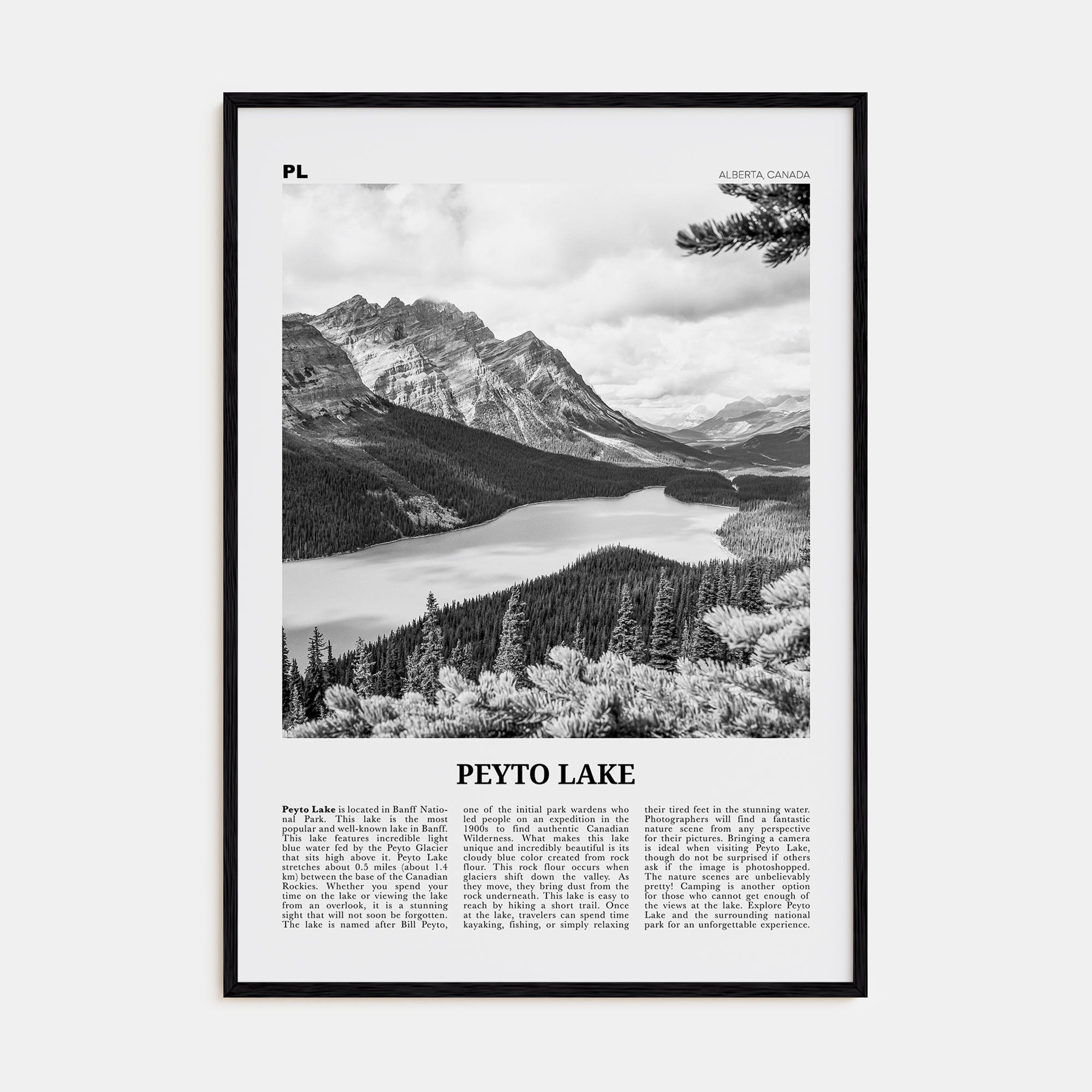 Peyto Lake Travel B&W Poster