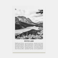 Peyto Lake Travel B&W Poster