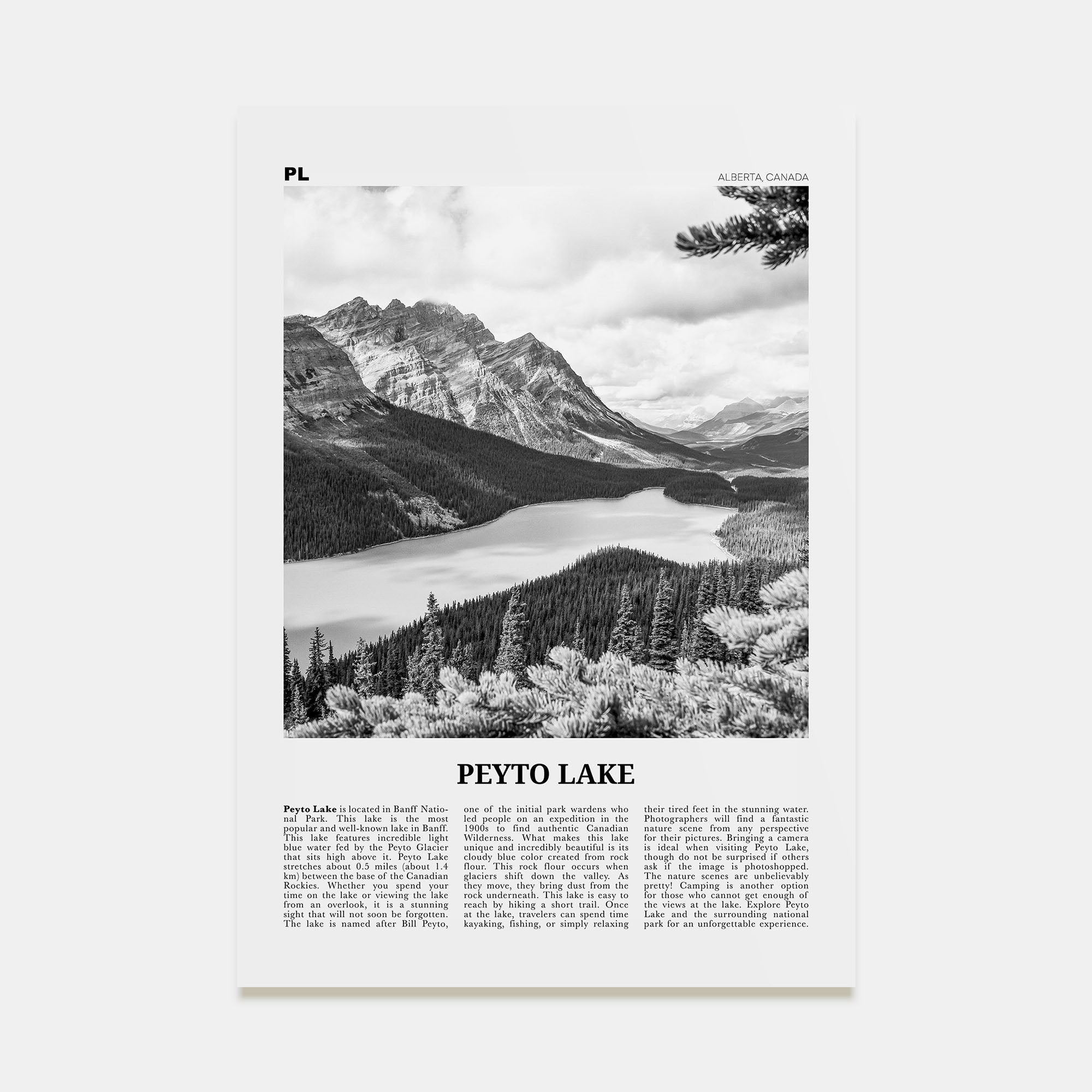 Peyto Lake Travel B&W Poster