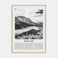Peyto Lake Travel B&W Poster