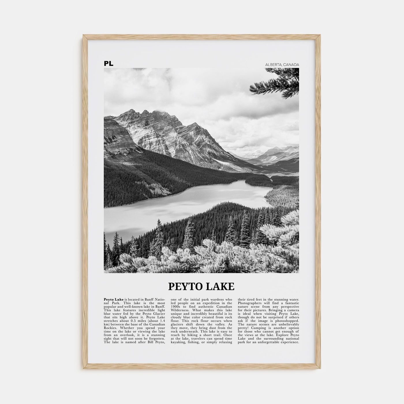 Peyto Lake Travel B&W Poster