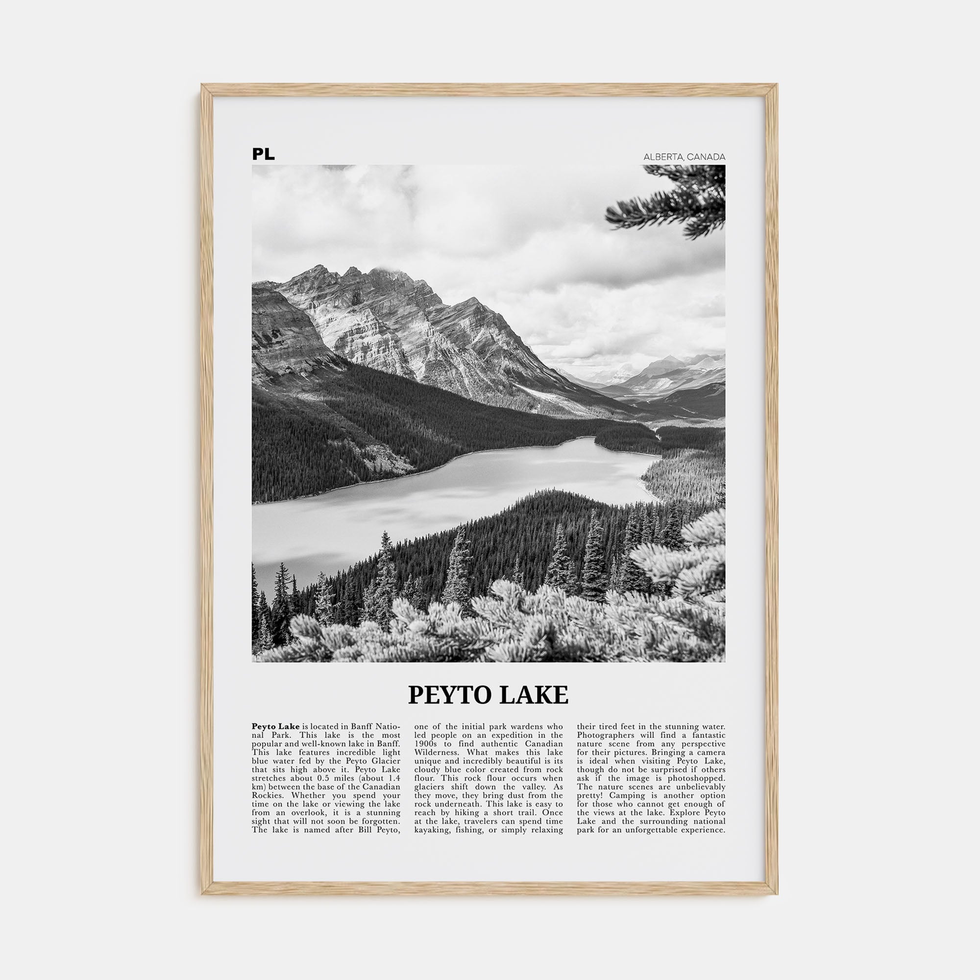 Peyto Lake Travel B&W Poster