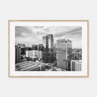 Phoenix Landscape B&W Poster