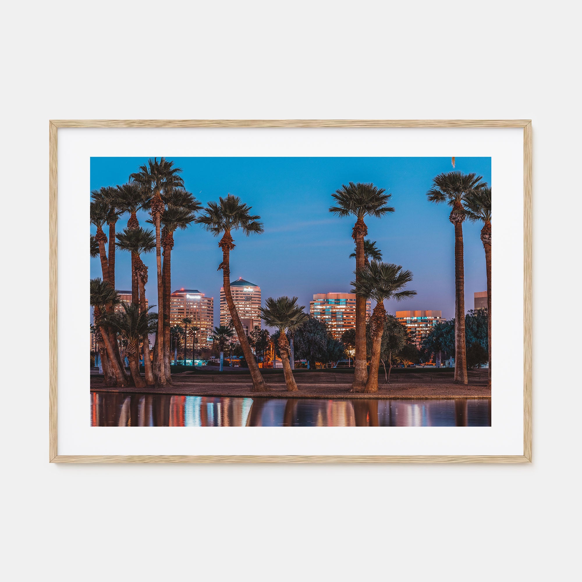 Phoenix Landscape Color Poster