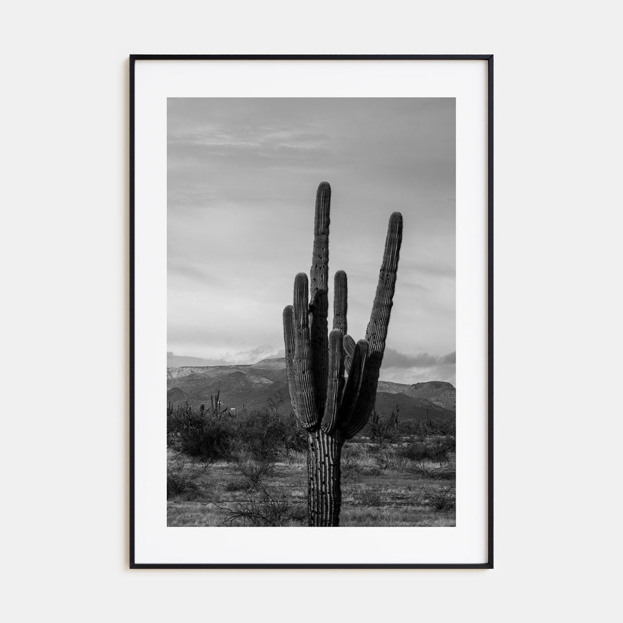 Phoenix Photo B&W No 1 Poster