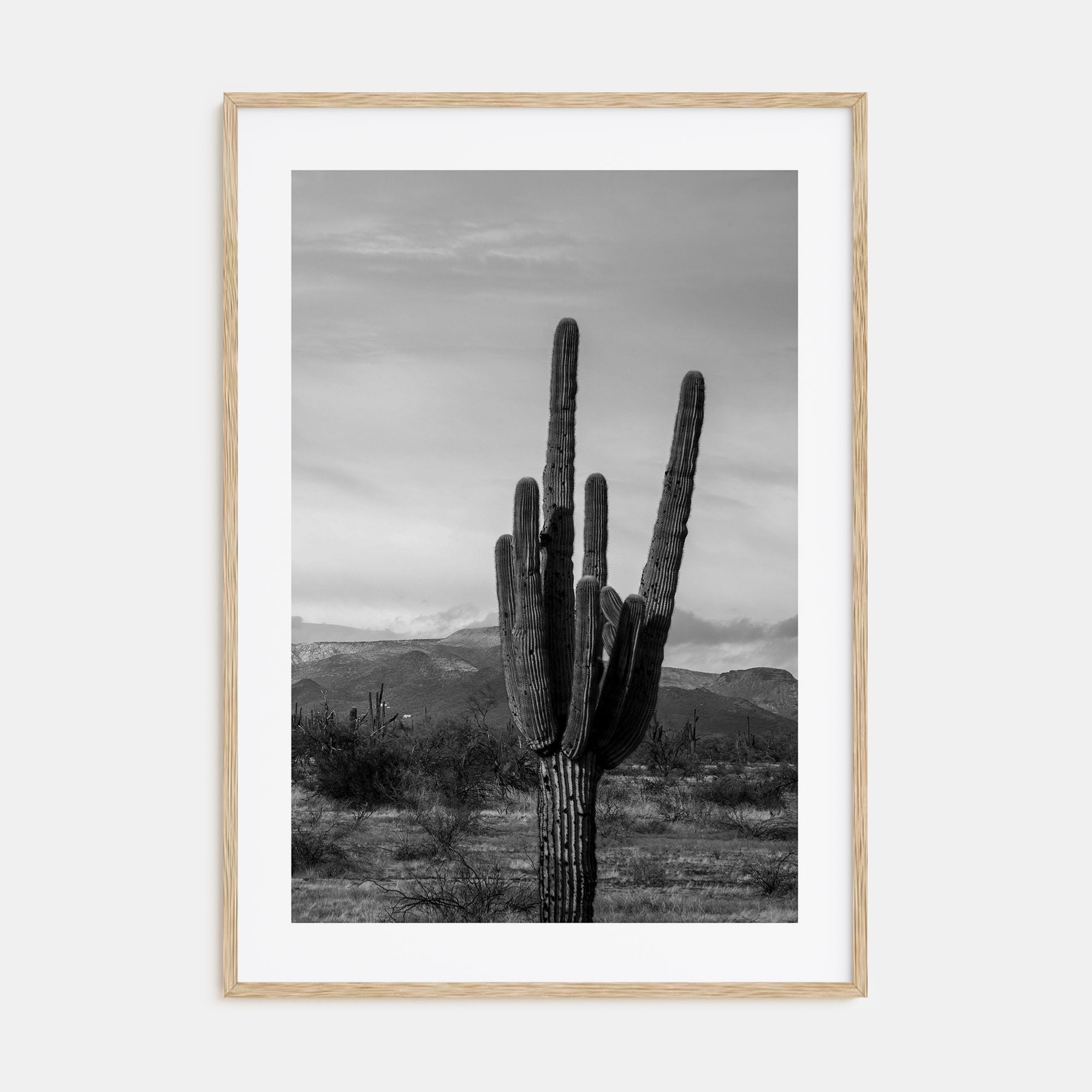Phoenix Photo B&W No 1 Poster