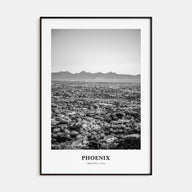 Phoenix Portrait B&W No 1 Poster