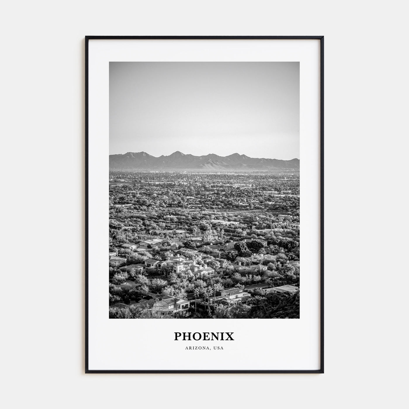 Phoenix Portrait B&W No 1 Poster