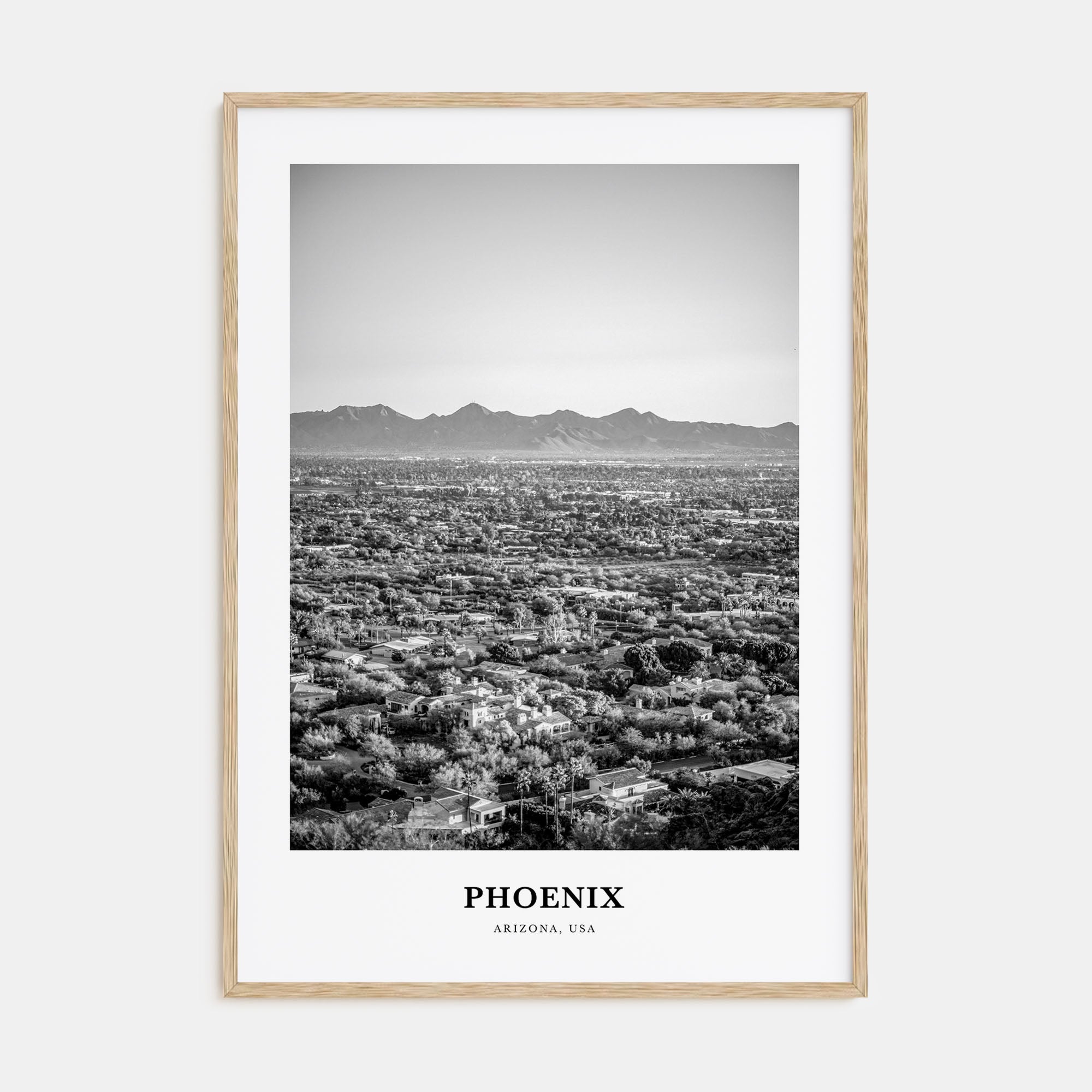 Phoenix Portrait B&W No 1 Poster
