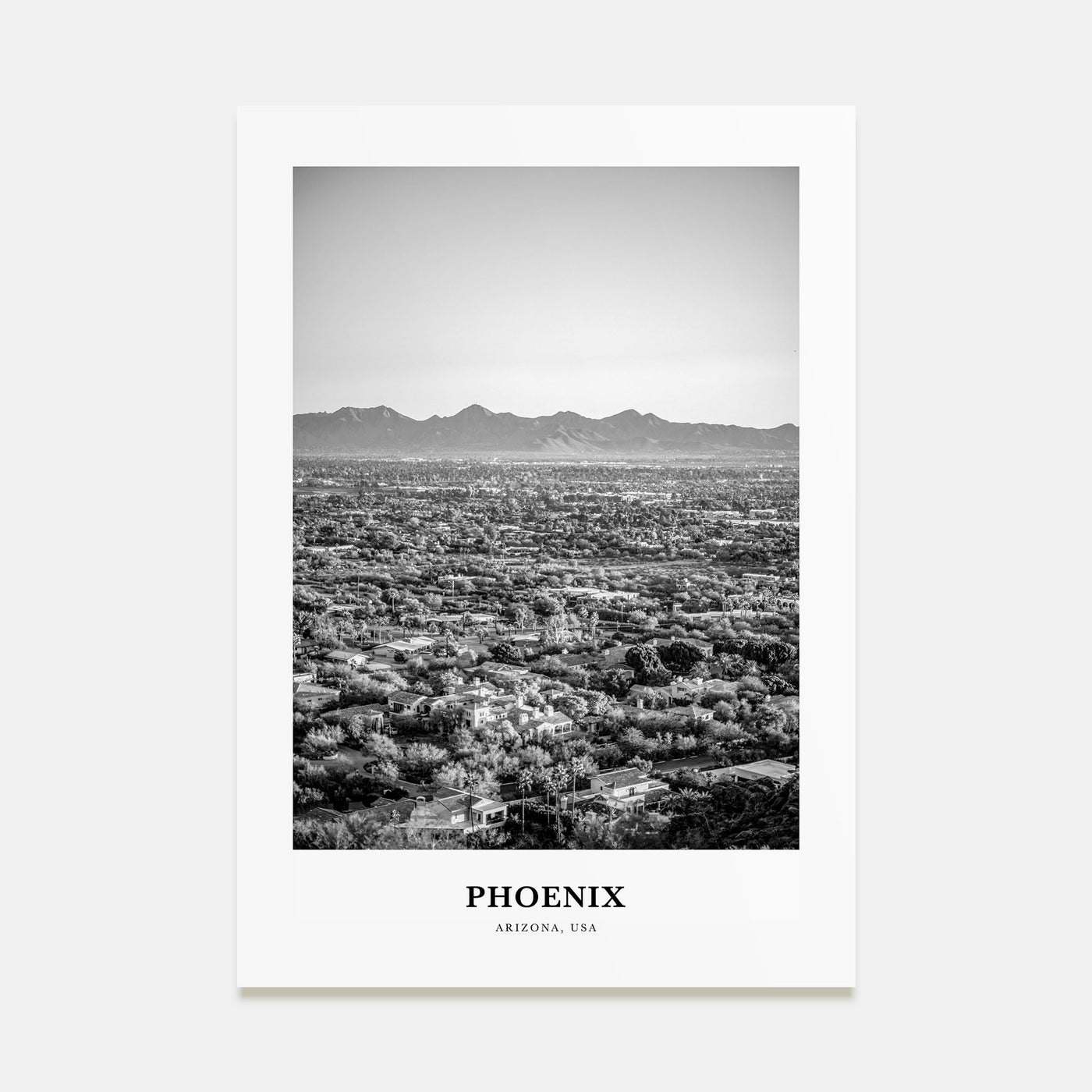 Phoenix Portrait B&W No 1 Poster