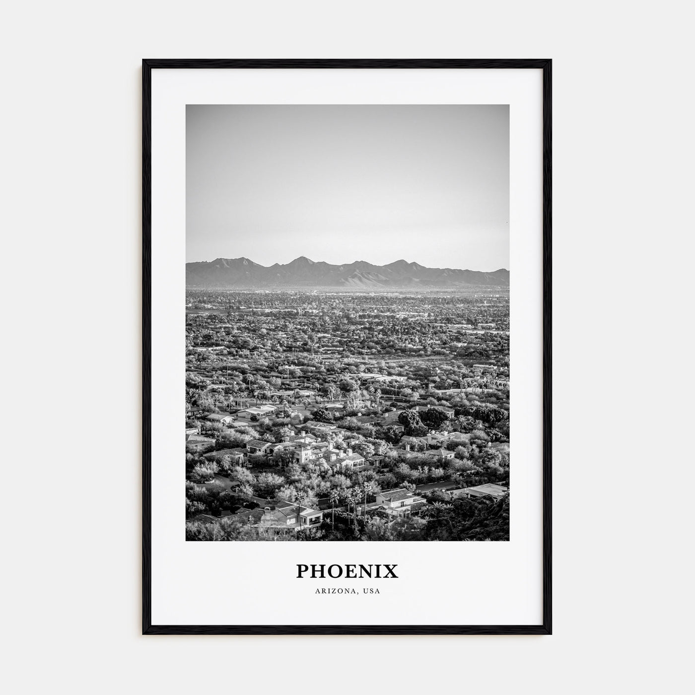 Phoenix Portrait B&W No 1 Poster