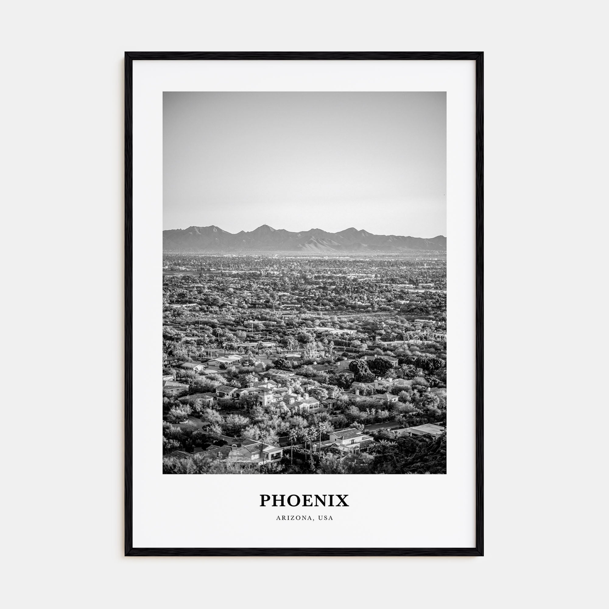 Phoenix Portrait B&W No 1 Poster