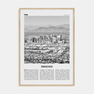 Phoenix Travel B&W No 1 Poster