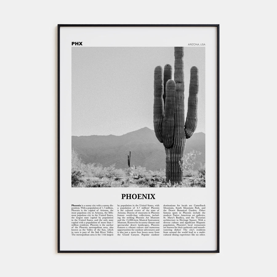 Phoenix Travel B&W No 3 Poster