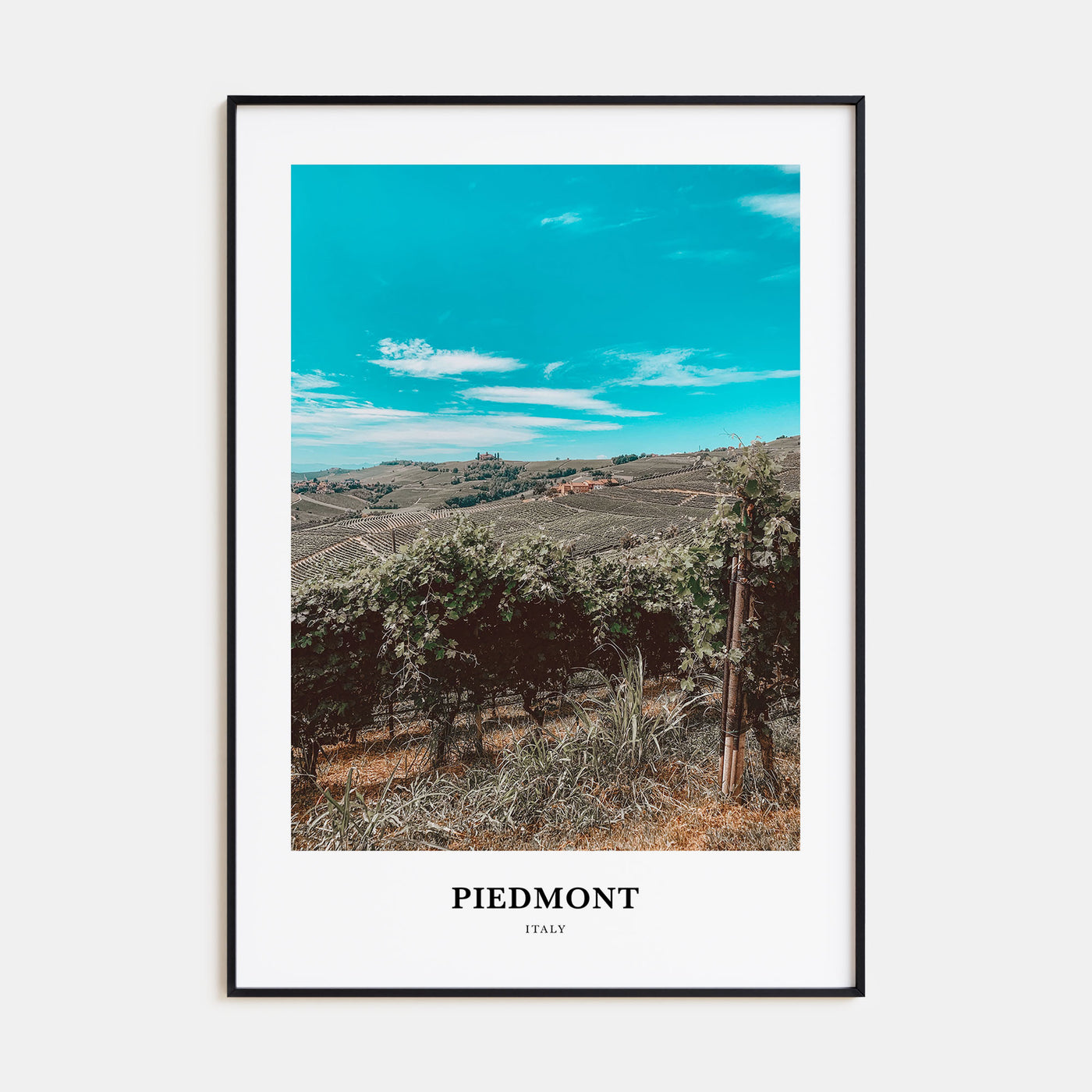 Piedmont Portrait Color Poster