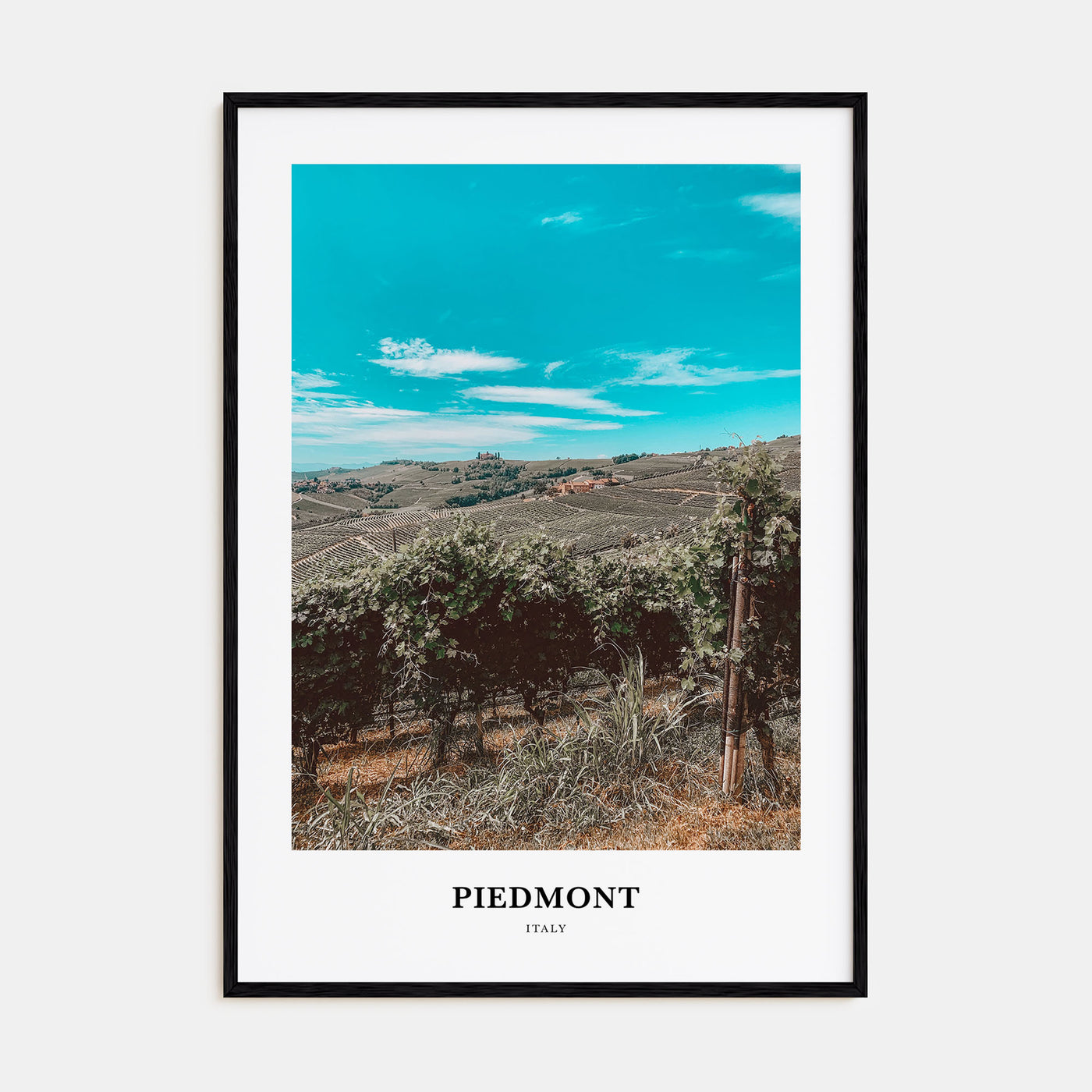 Piedmont Portrait Color Poster