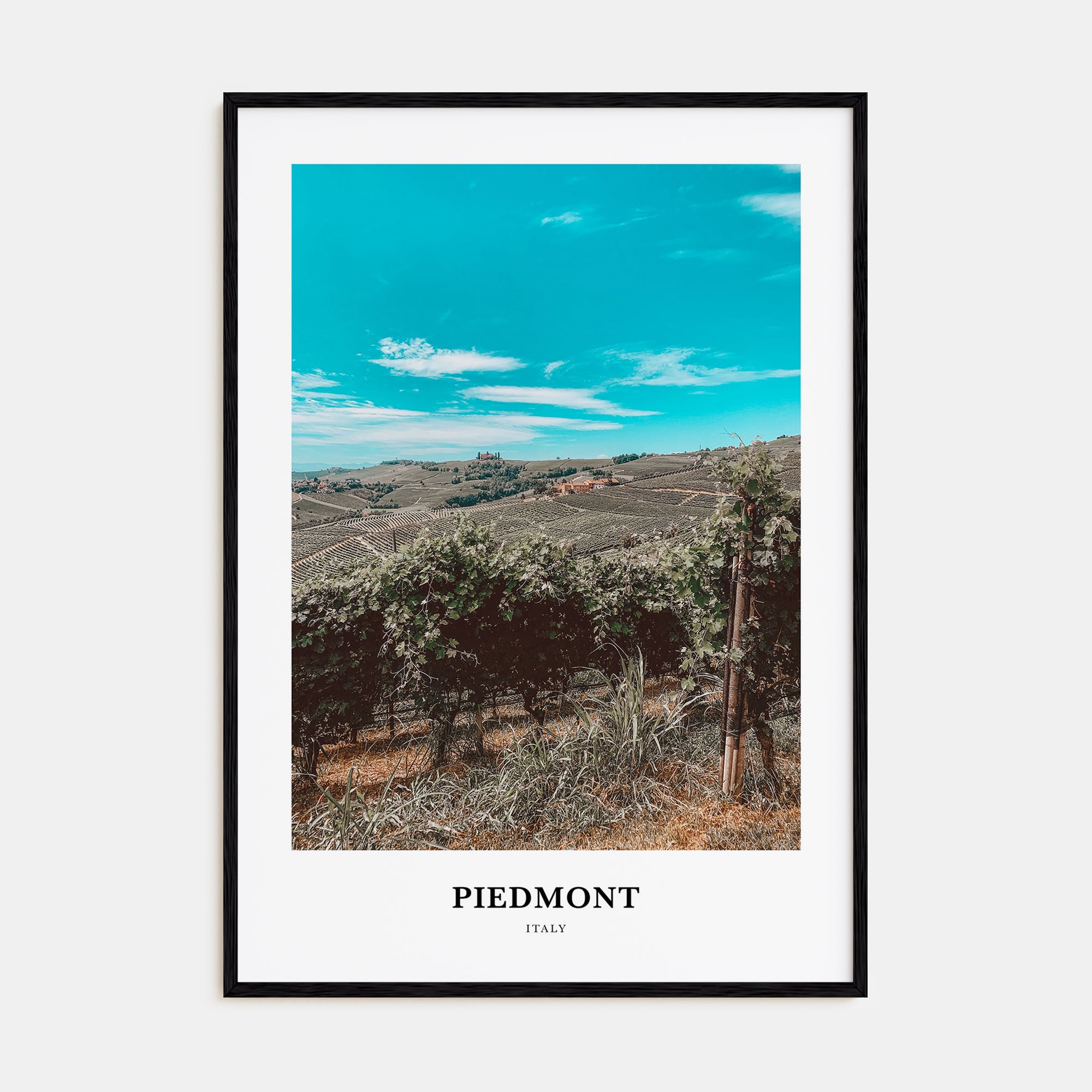 Piedmont Portrait Color Poster