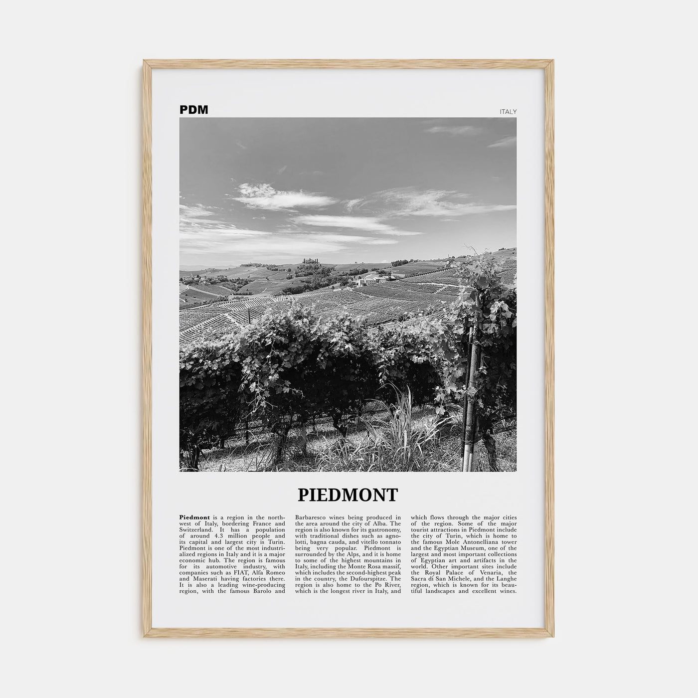 Piedmont Travel B&W Poster