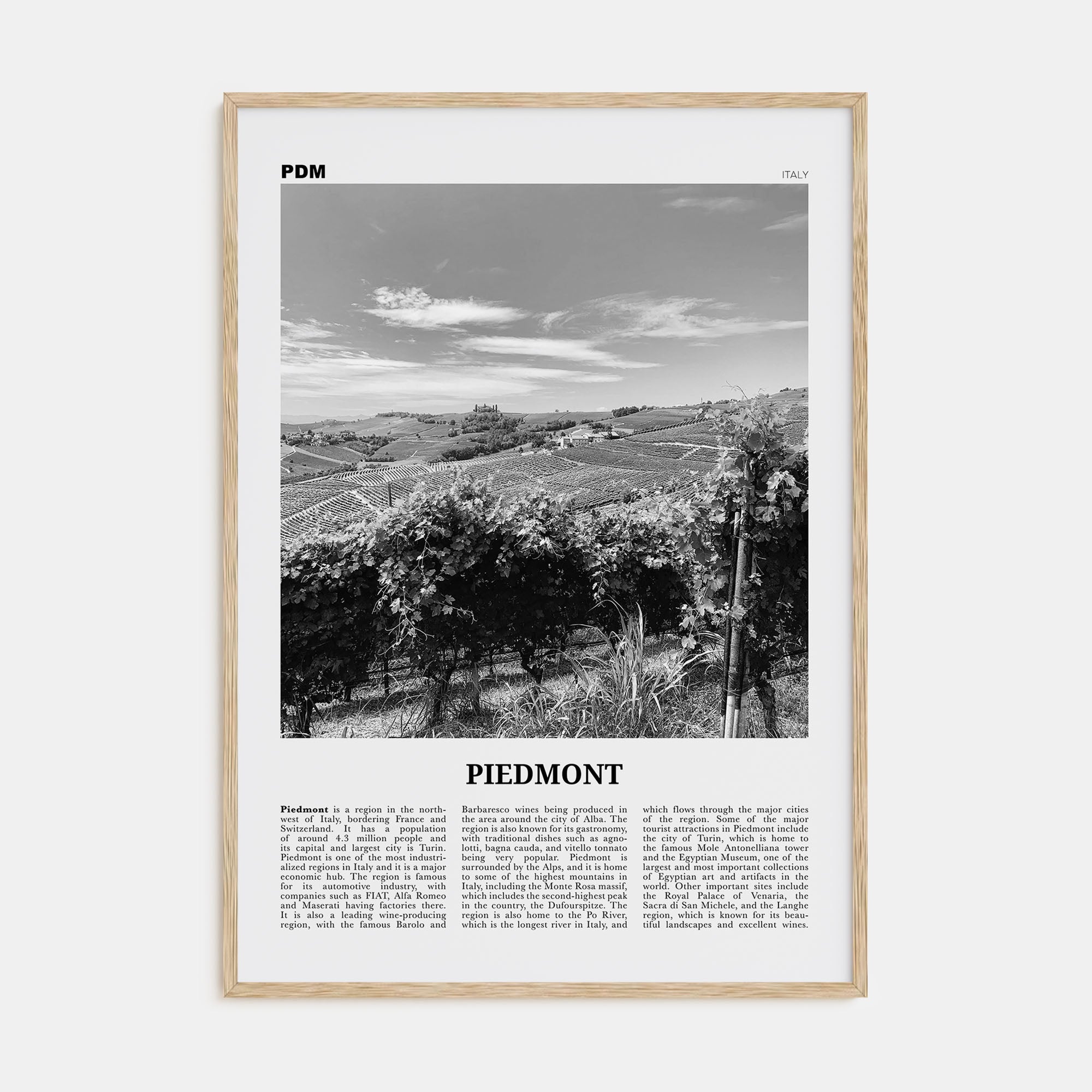 Piedmont Travel B&W Poster