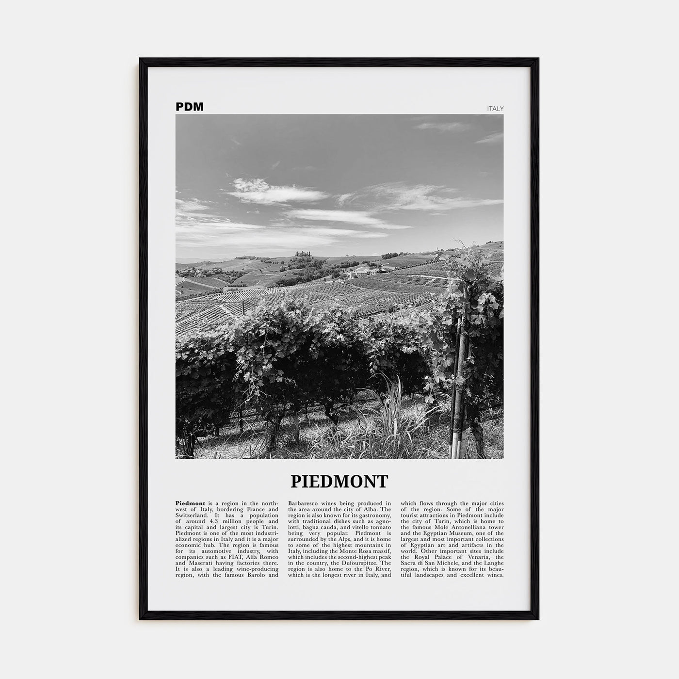 Piedmont Travel B&W Poster