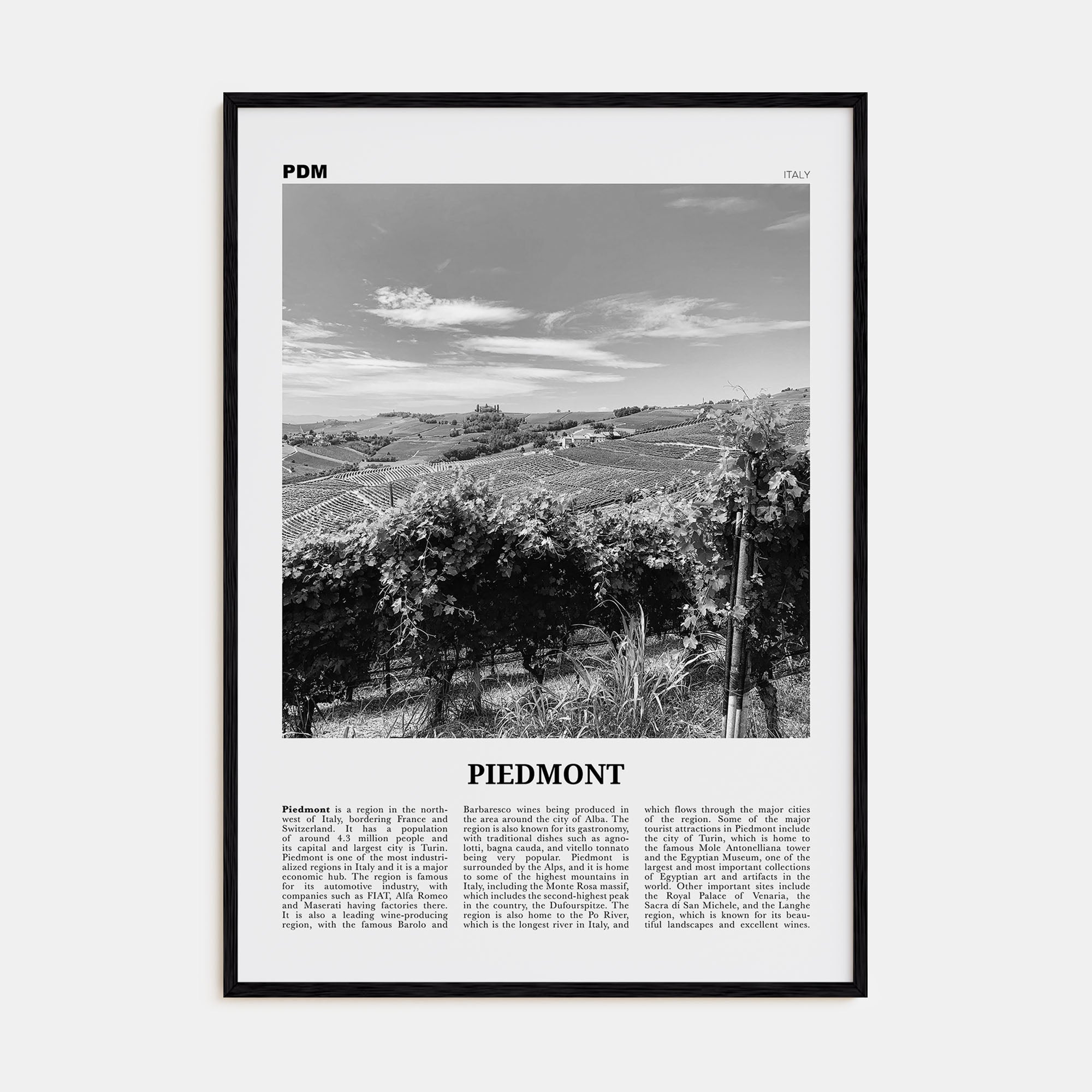 Piedmont Travel B&W Poster