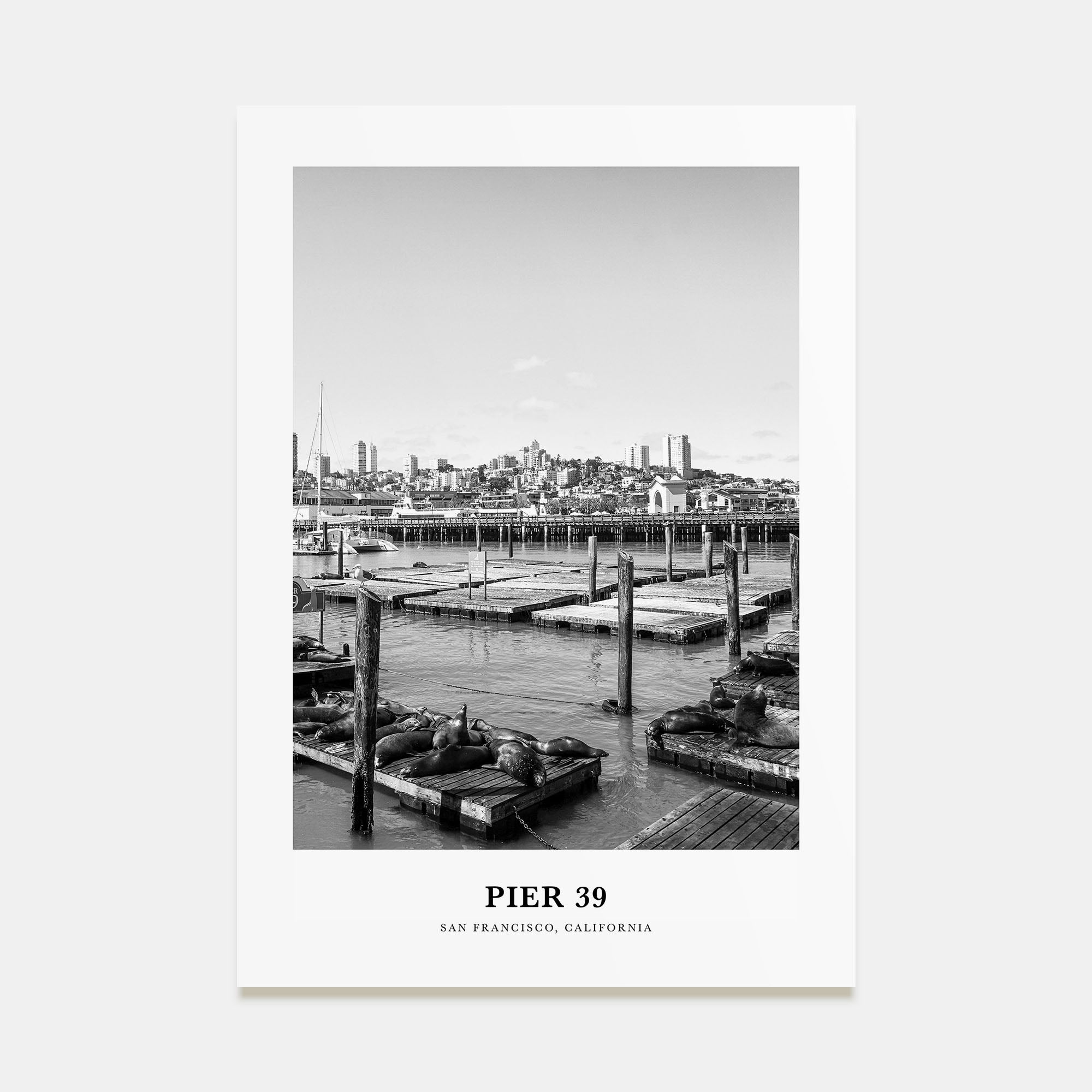 Pier 39 Portrait B&W Poster