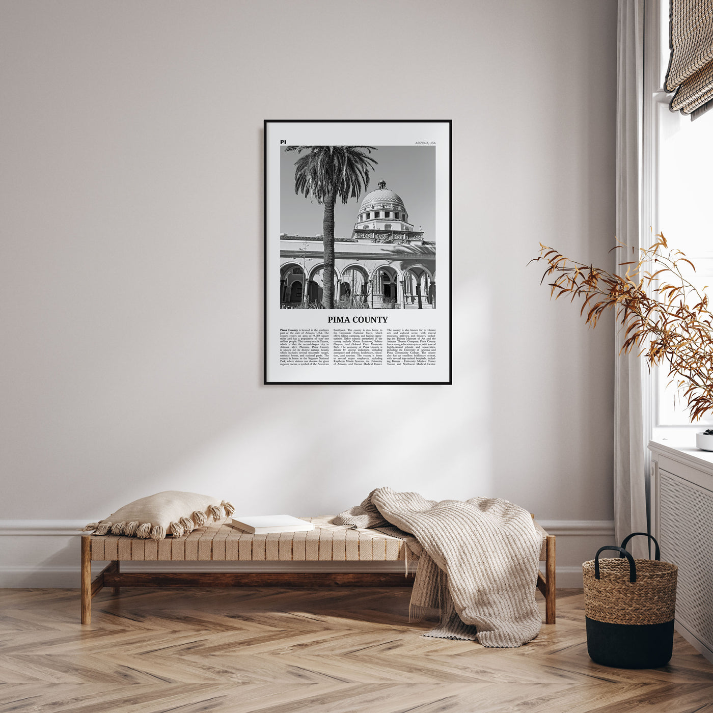 Pima County Travel B&W Poster