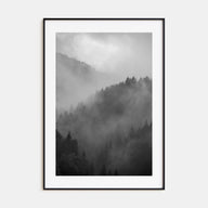 Pine Tree Forest Photo B&W No 1 Poster