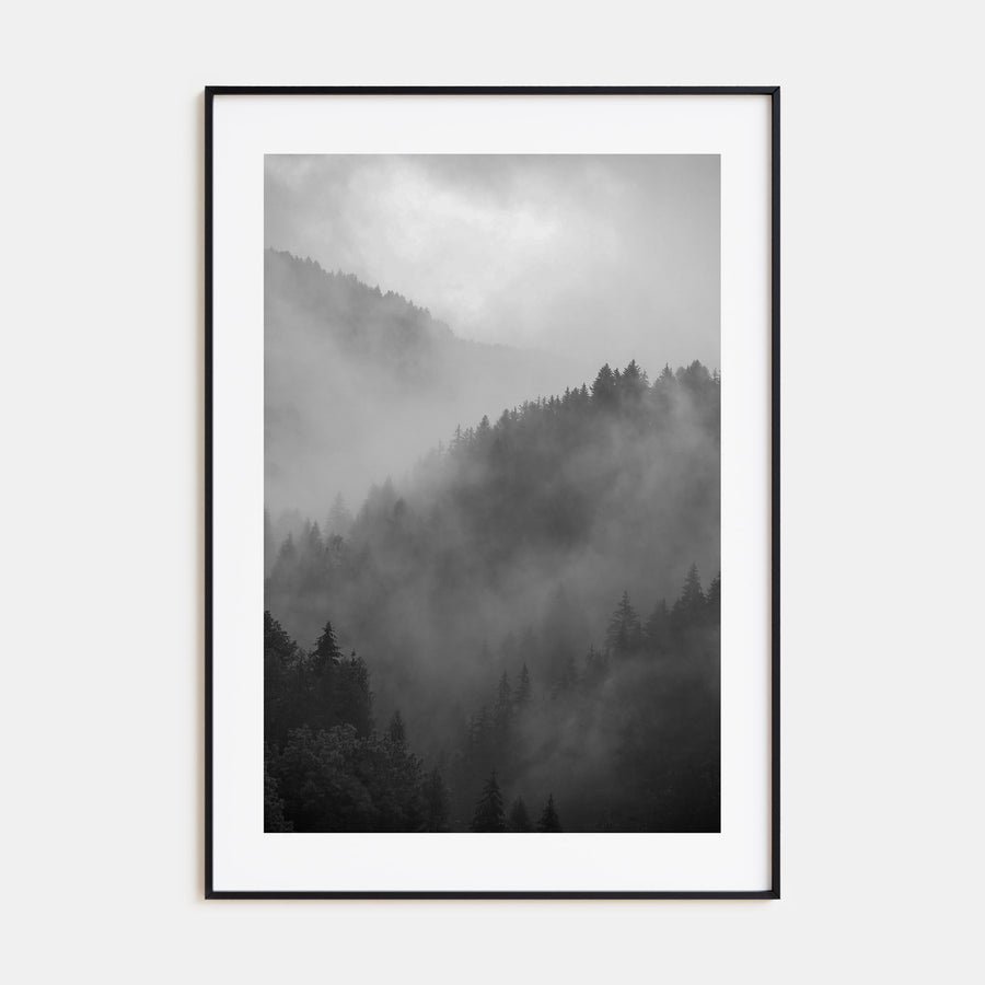 Pine Tree Forest Photo B&W No 1 Poster