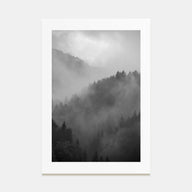 Pine Tree Forest Photo B&W No 1 Poster