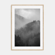 Pine Tree Forest Photo B&W No 1 Poster