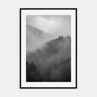 Pine Tree Forest Photo B&W No 1 Poster