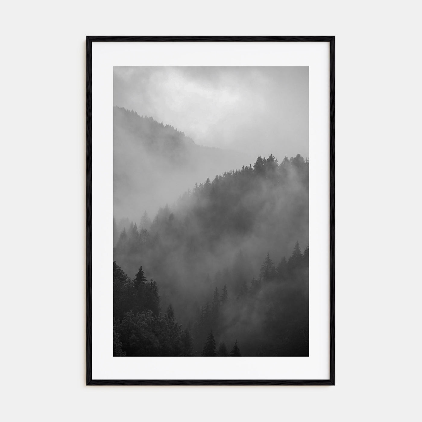 Pine Tree Forest Photo B&W No 1 Poster