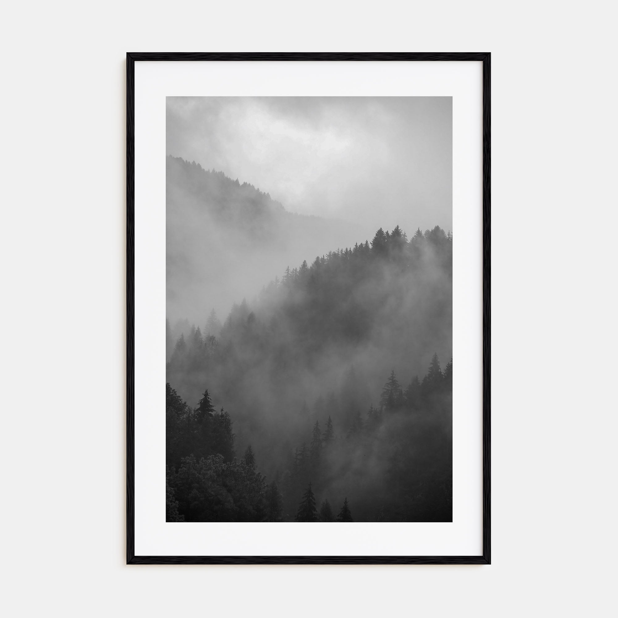 Pine Tree Forest Photo B&W No 1 Poster
