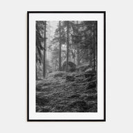 Pine Tree Forest Photo B&W No 2 Poster