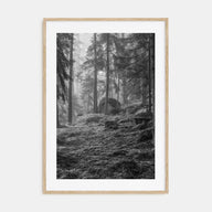 Pine Tree Forest Photo B&W No 2 Poster