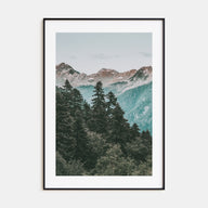 Pine Tree Forest Photo Color Poster