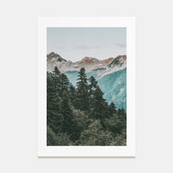 Pine Tree Forest Photo Color Poster