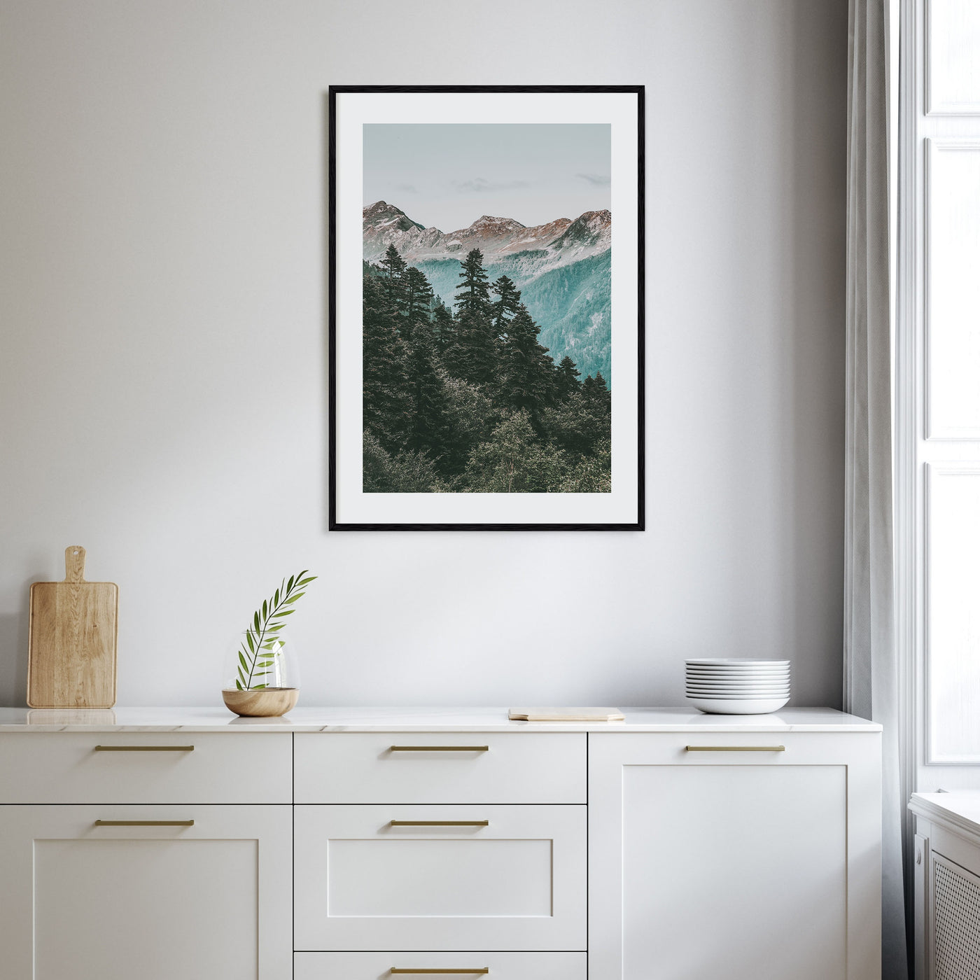Pine Tree Forest Photo Color Poster
