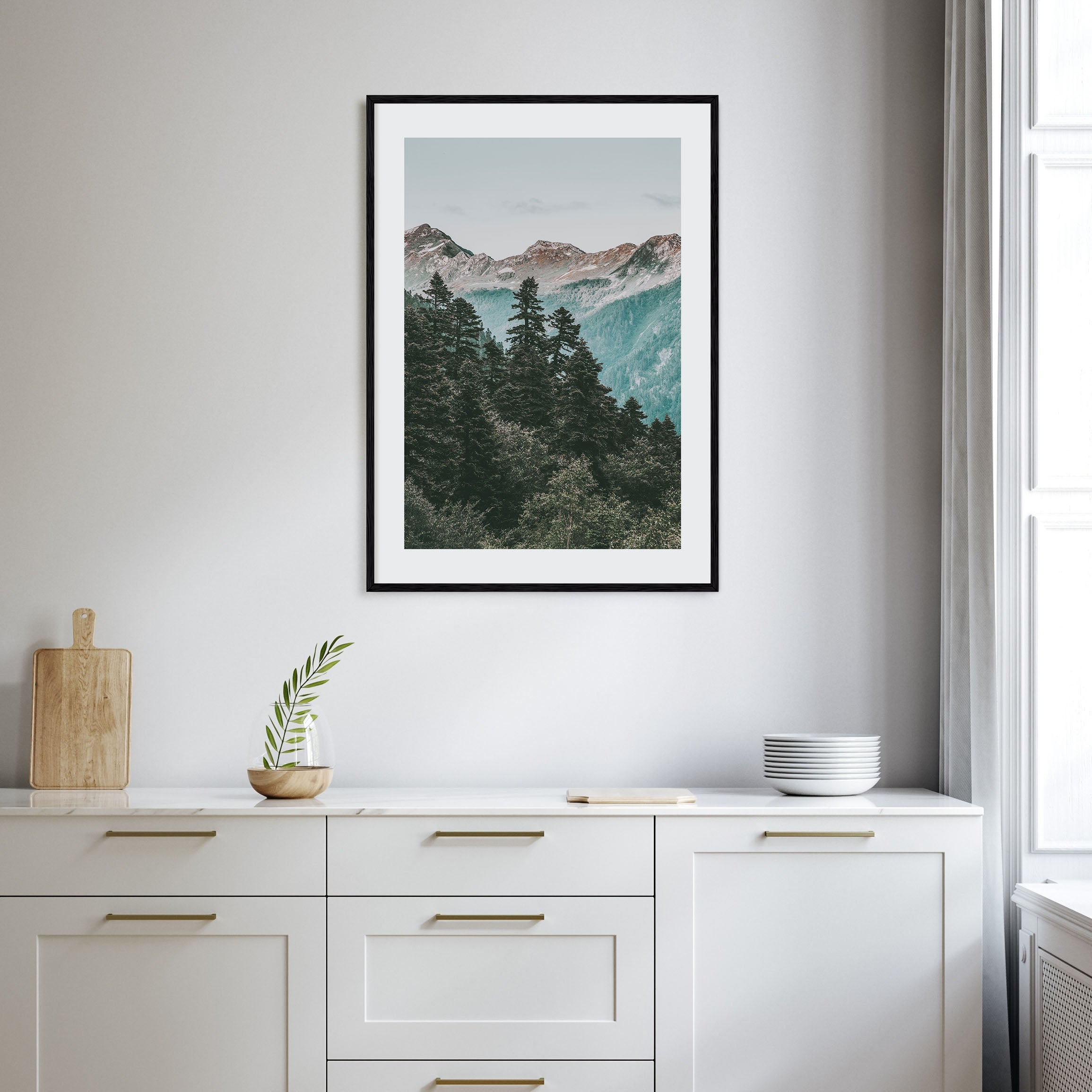 Pine Tree Forest Photo Color Poster