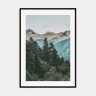 Pine Tree Forest Photo Color Poster