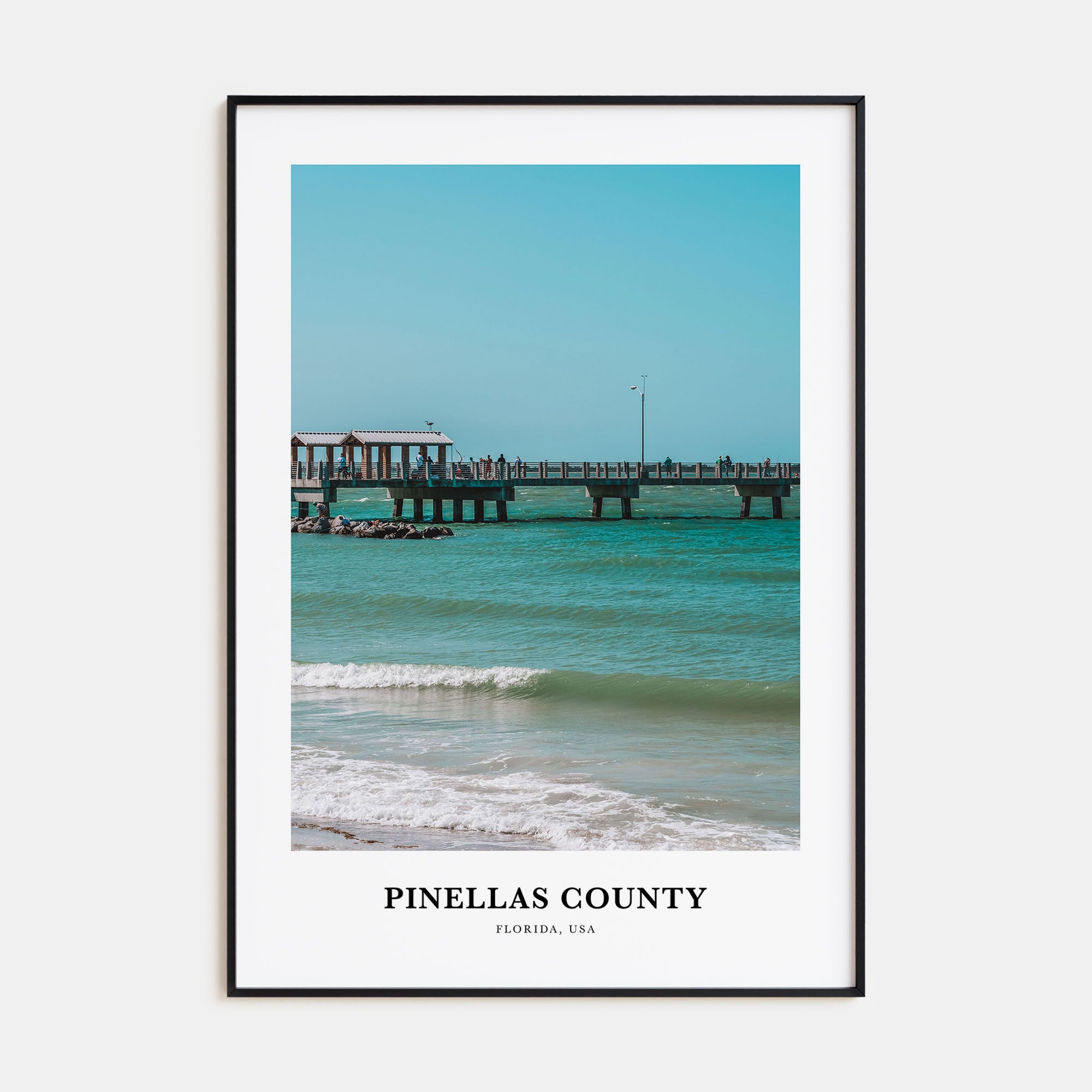 Pinellas County Portrait Color Poster