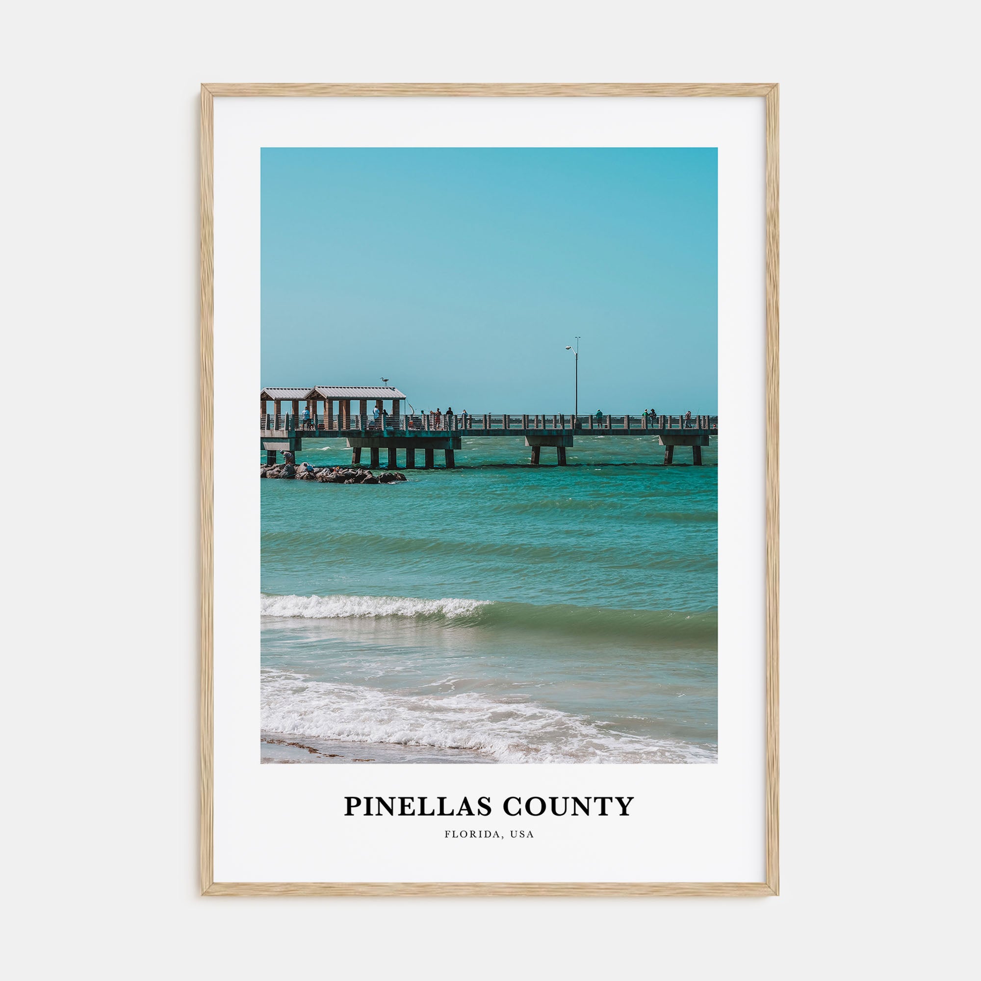 Pinellas County Portrait Color Poster