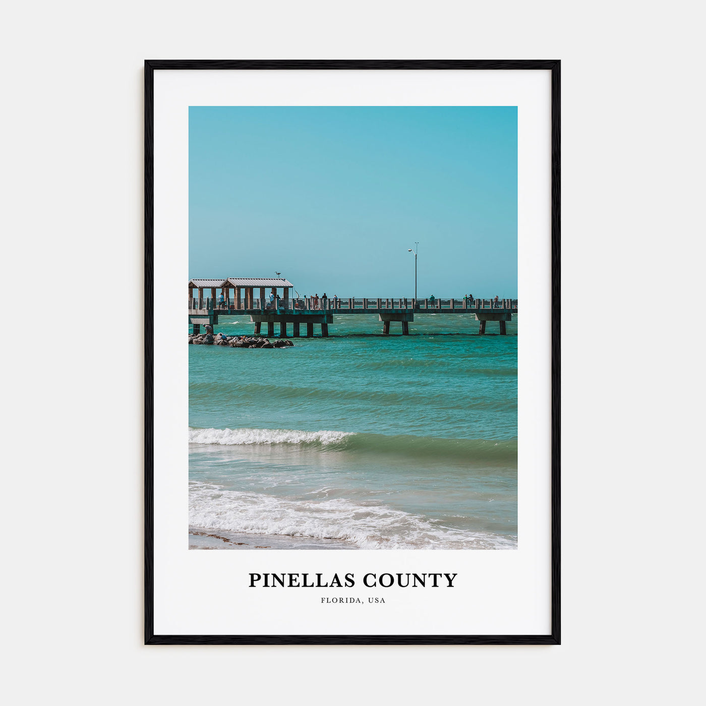 Pinellas County Portrait Color Poster
