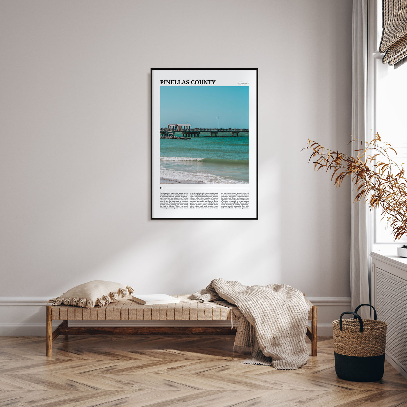 Pinellas County Travel Color Poster