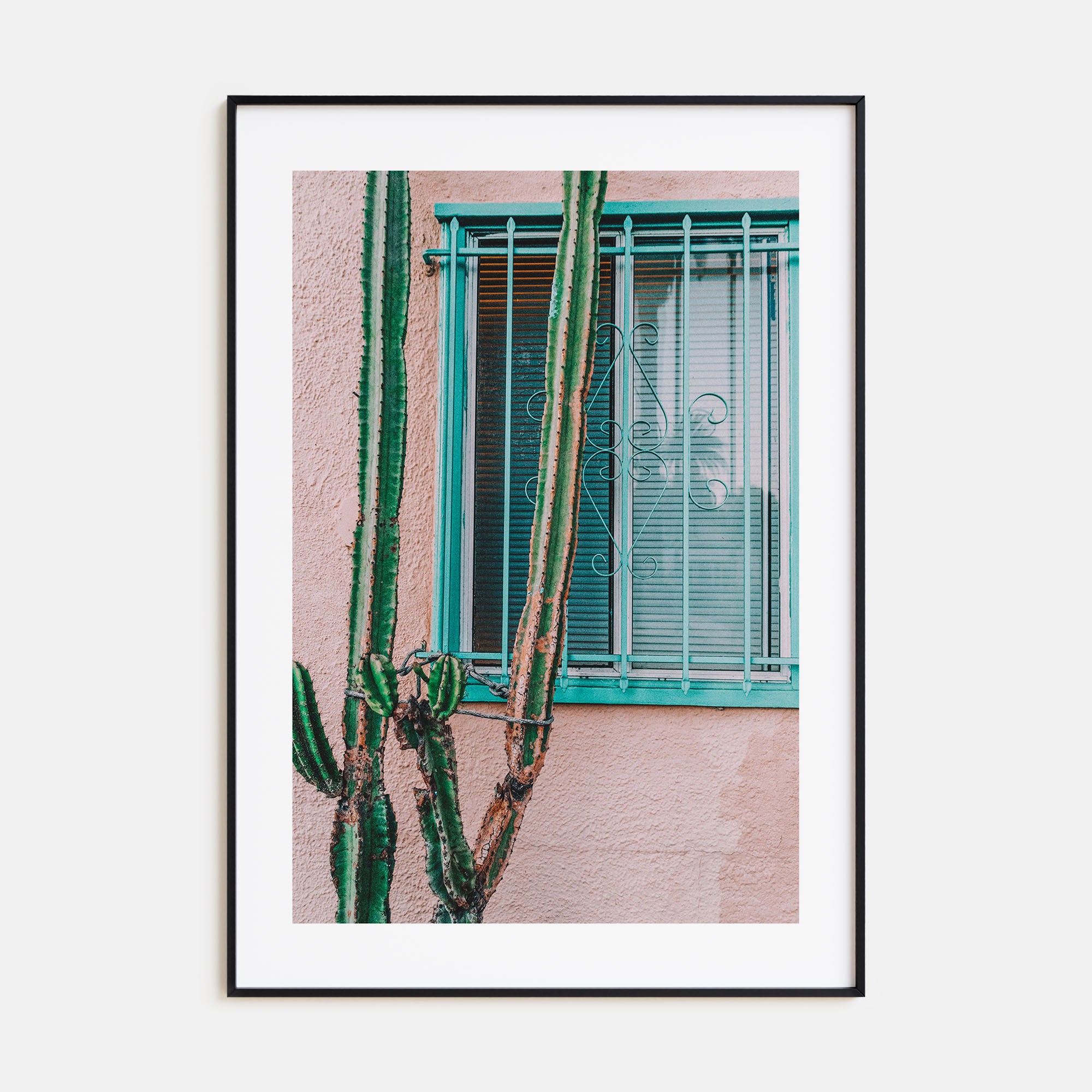 Pink Cactus Photo Color Poster