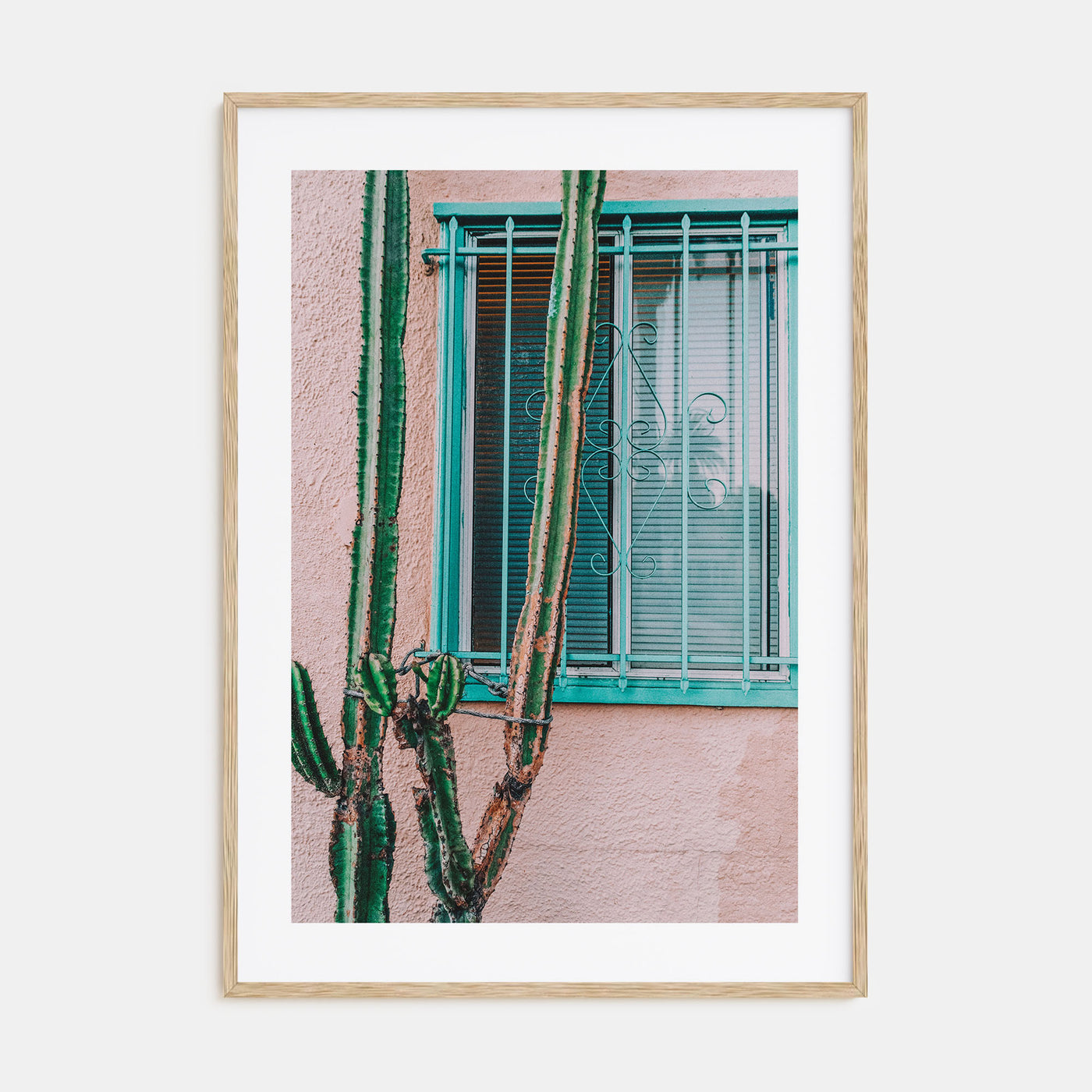 Pink Cactus Photo Color Poster