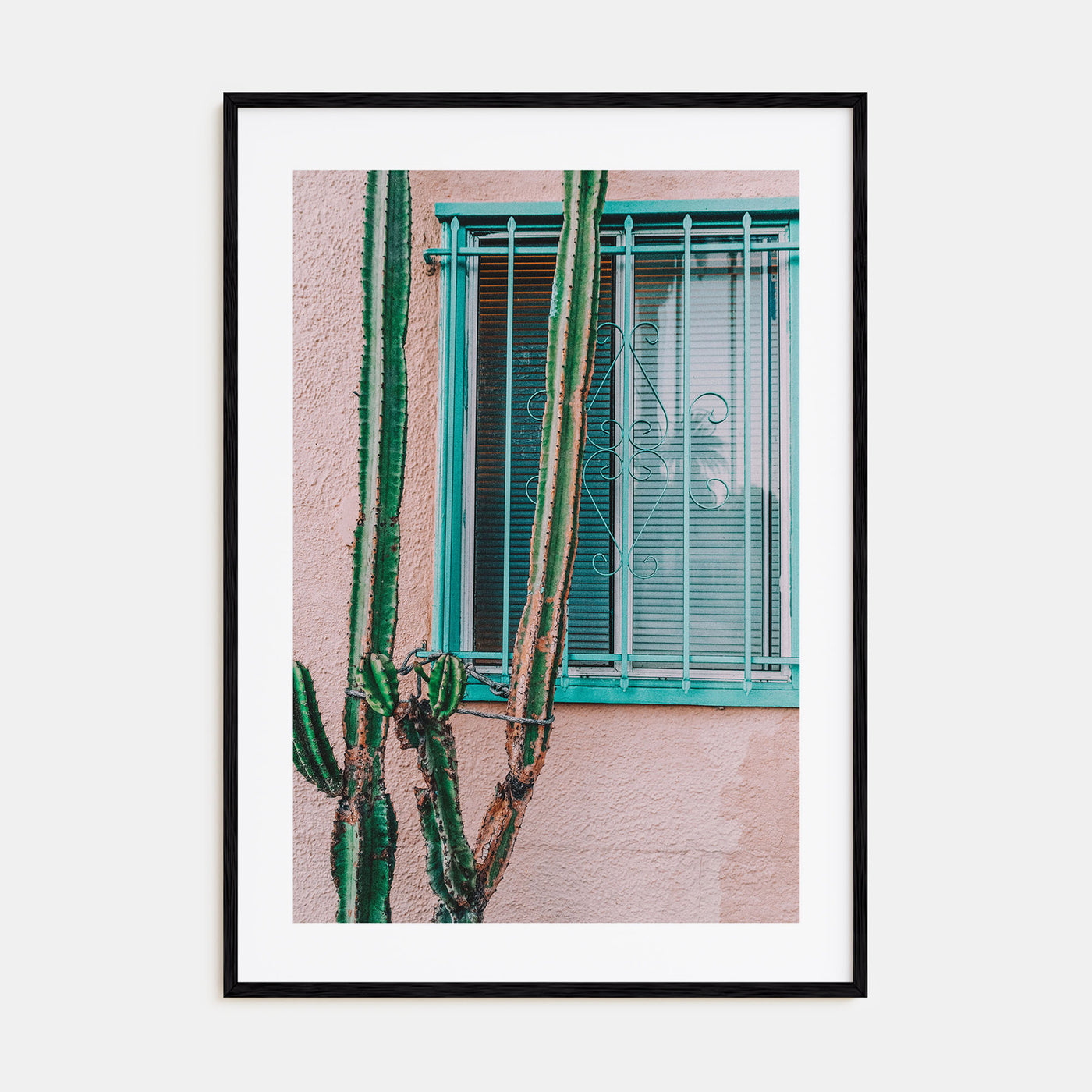 Pink Cactus Photo Color Poster