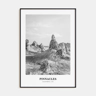 Pinnacles National Park Portrait B&W Poster